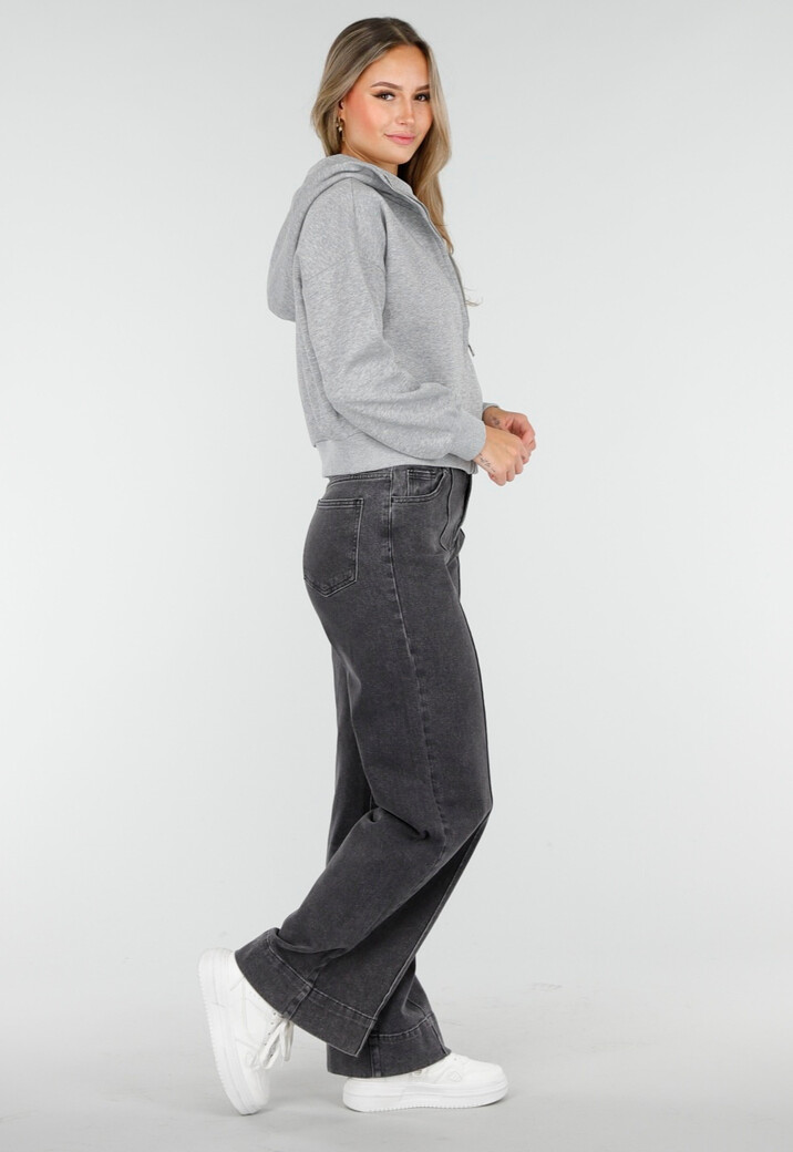 Sweatvest met Lange Mouwen in Grijs