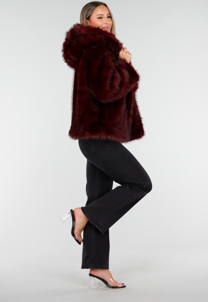 Bordeaux Bontjas met Capuchon