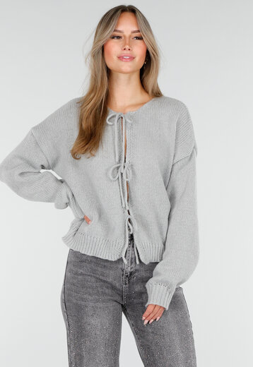 Grijs Gebreid Vest met Striksluiting