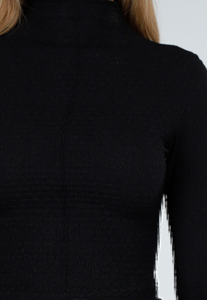 Zwart Aansluitende Coltrui met Lange Mouwen