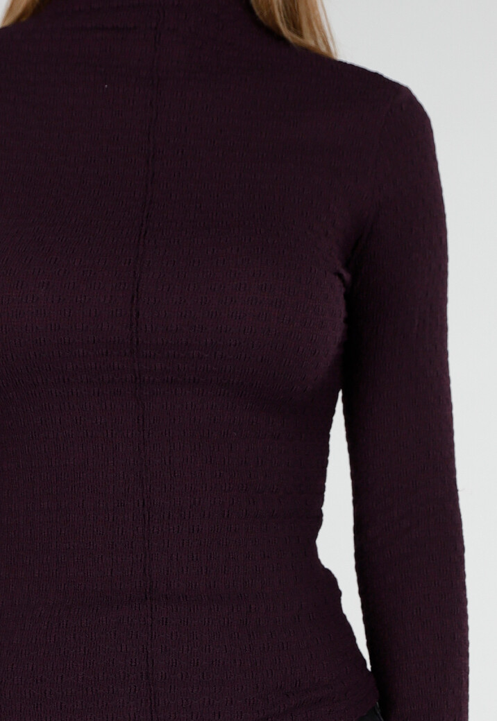 Paarse Coltop met Lange Mouwen en Stretch