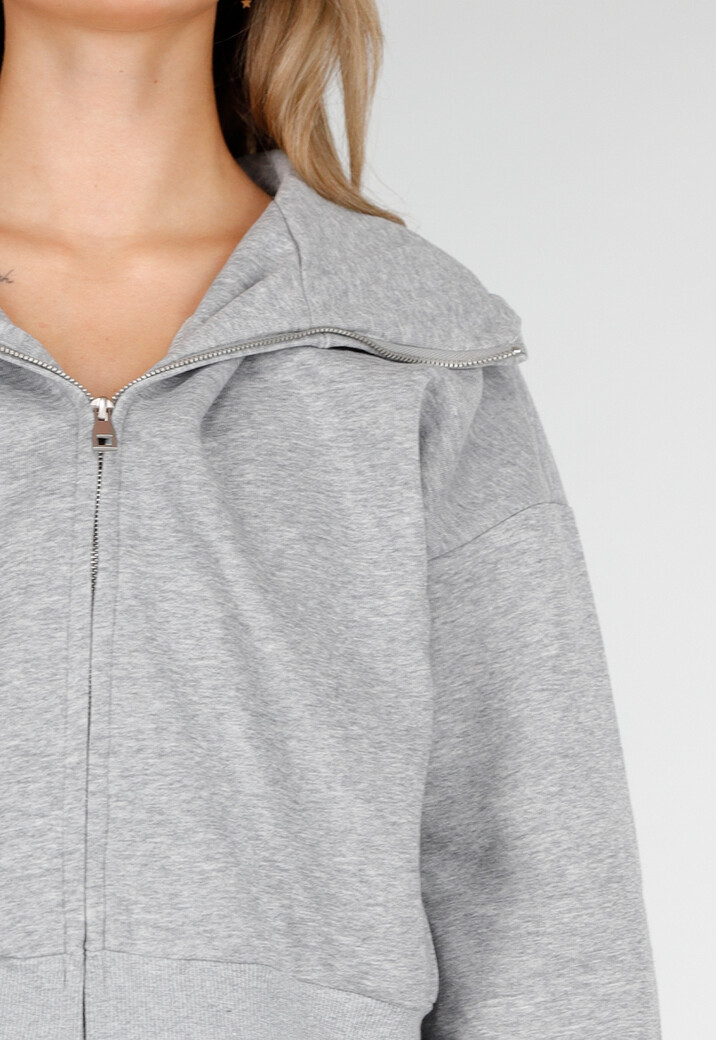 Sweatvest met Lange Mouwen in Grijs