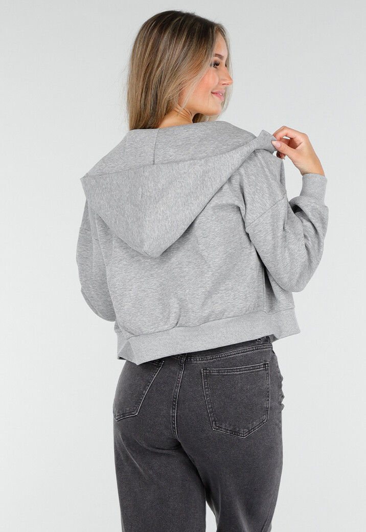 Sweatvest met Lange Mouwen in Grijs