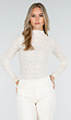 Crèmekleurige Kant Top met Lange Mouwen en Hoge Hals