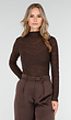 Bruine Kantentop met Hoge Hals en Lange Mouwen