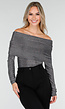 Zilveren Off Shoulder Top met Lange Mouwen