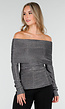 Zilveren Off Shoulder Top met Lange Mouwen