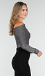 Zilveren Off Shoulder Top met Lange Mouwen