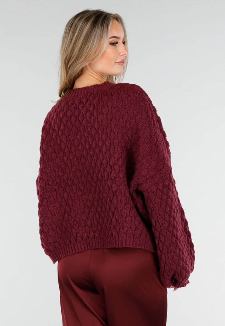Bordeauxrode Gebreide Trui met Hartjesprint