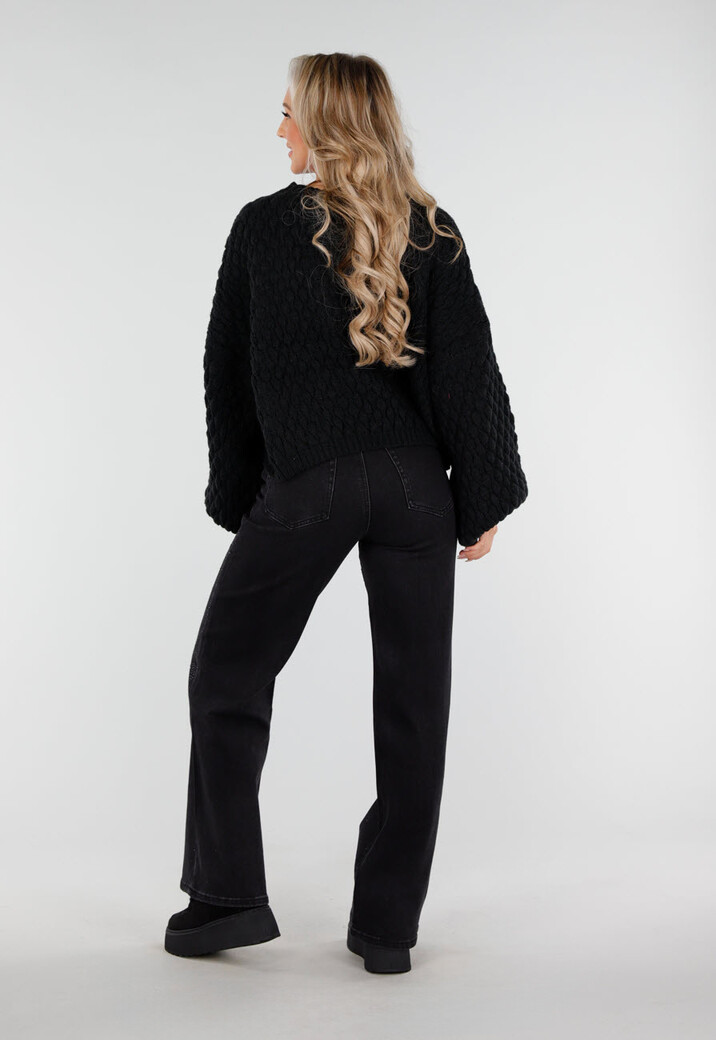 Zwarte Sneakers met Bontvoering en Dikke Platformzool met Veters en Rits