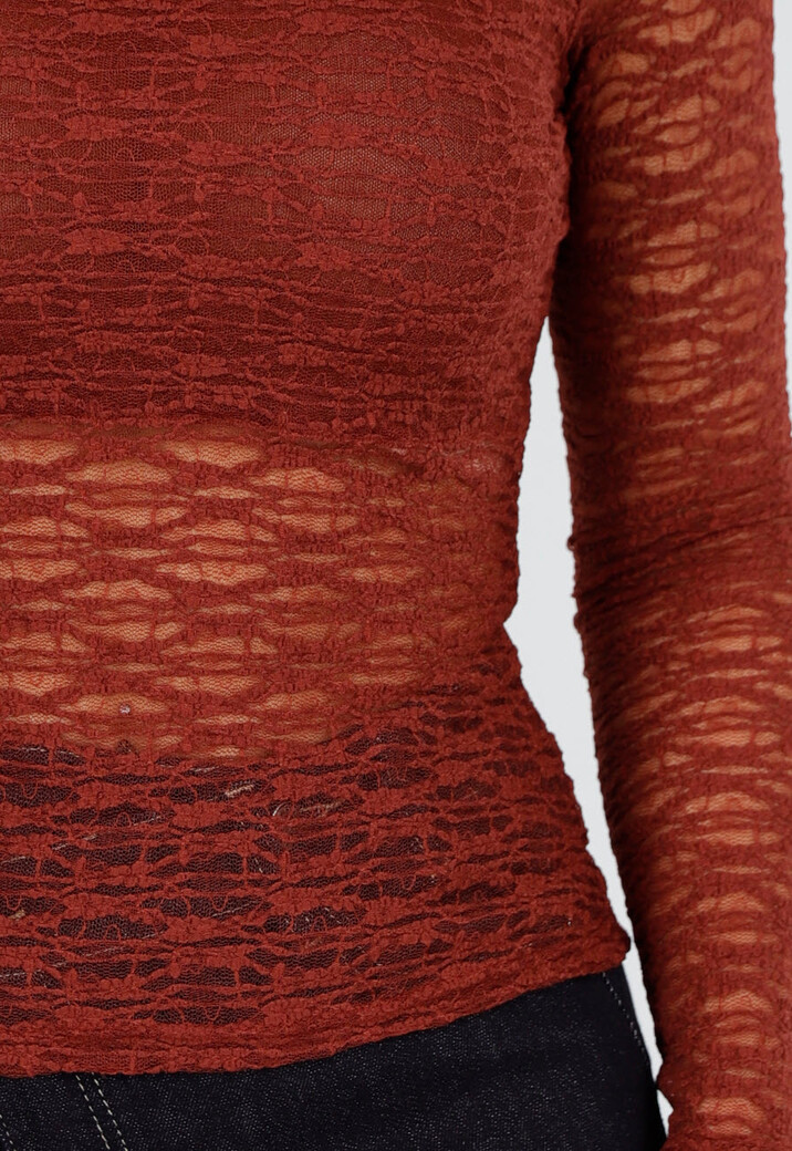 Roestbruine Transparante Kant Top Met Lange Mouwen En Hoge Hals