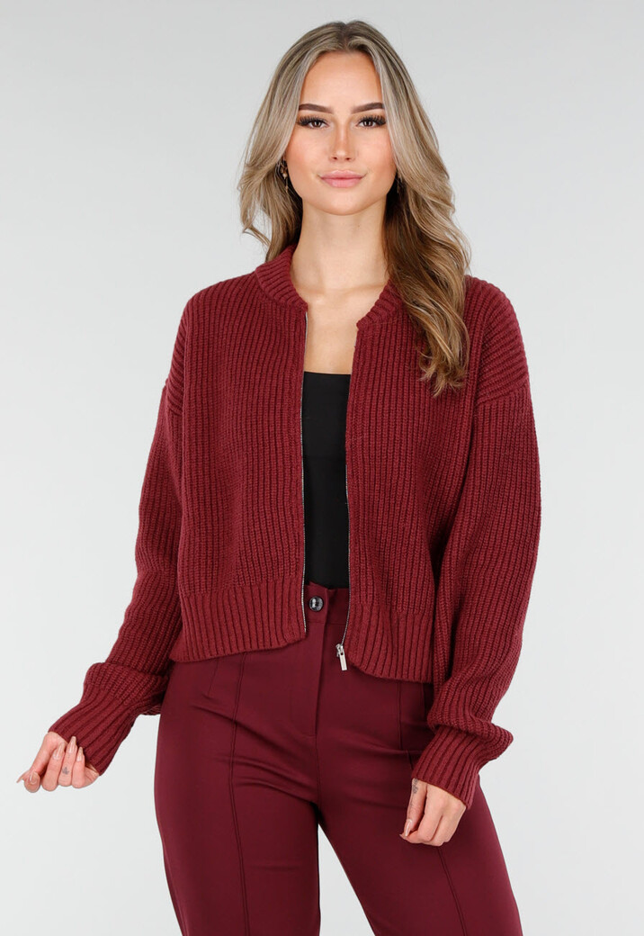 Bordeauxrood Ribgebreid Vest met Rits