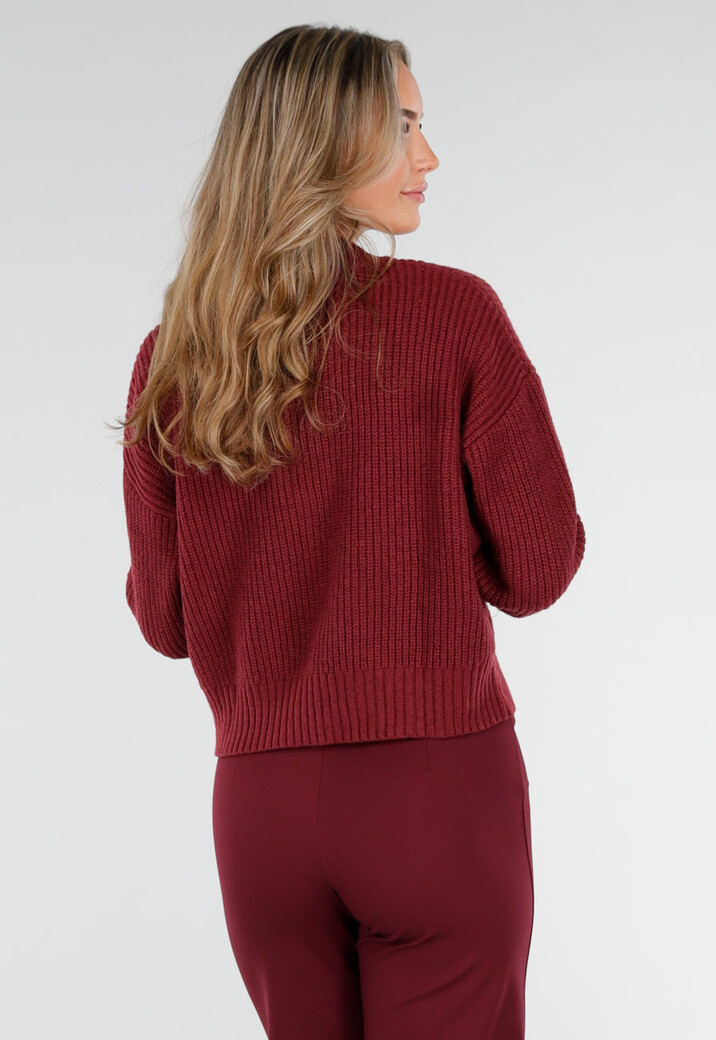Bordeauxrood Ribgebreid Vest met Rits