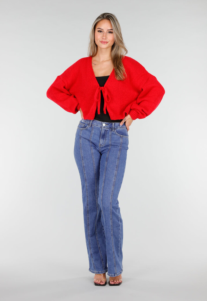 Blauwe Stretch Jeans met Rechte Pijpen en Verticale Stiknaden