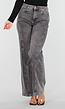 Grijze Stretch High Waist Jeans