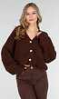 Gebreide Bruine Cardigan met Lurex en Goudkleurige Knopen