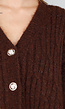 Gebreide Bruine Cardigan met Lurex en Goudkleurige Knopen