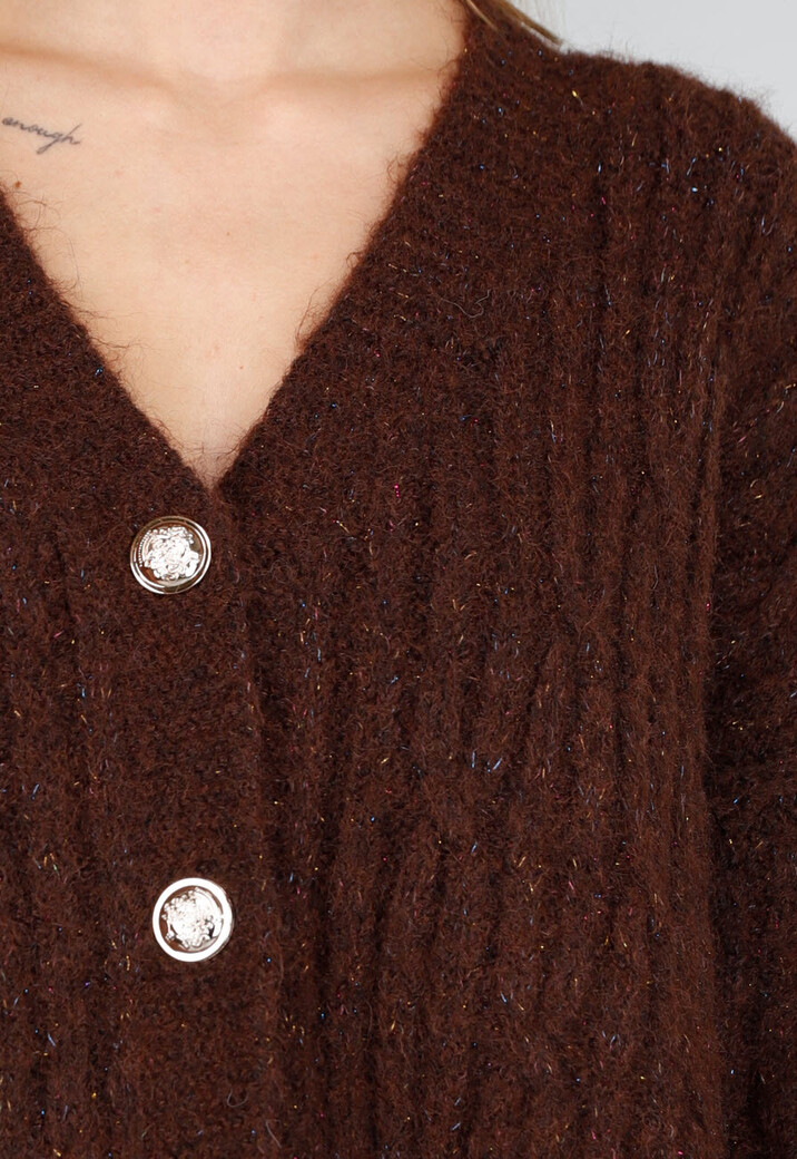 Gebreide Bruine Cardigan met Lurex en Goudkleurige Knopen