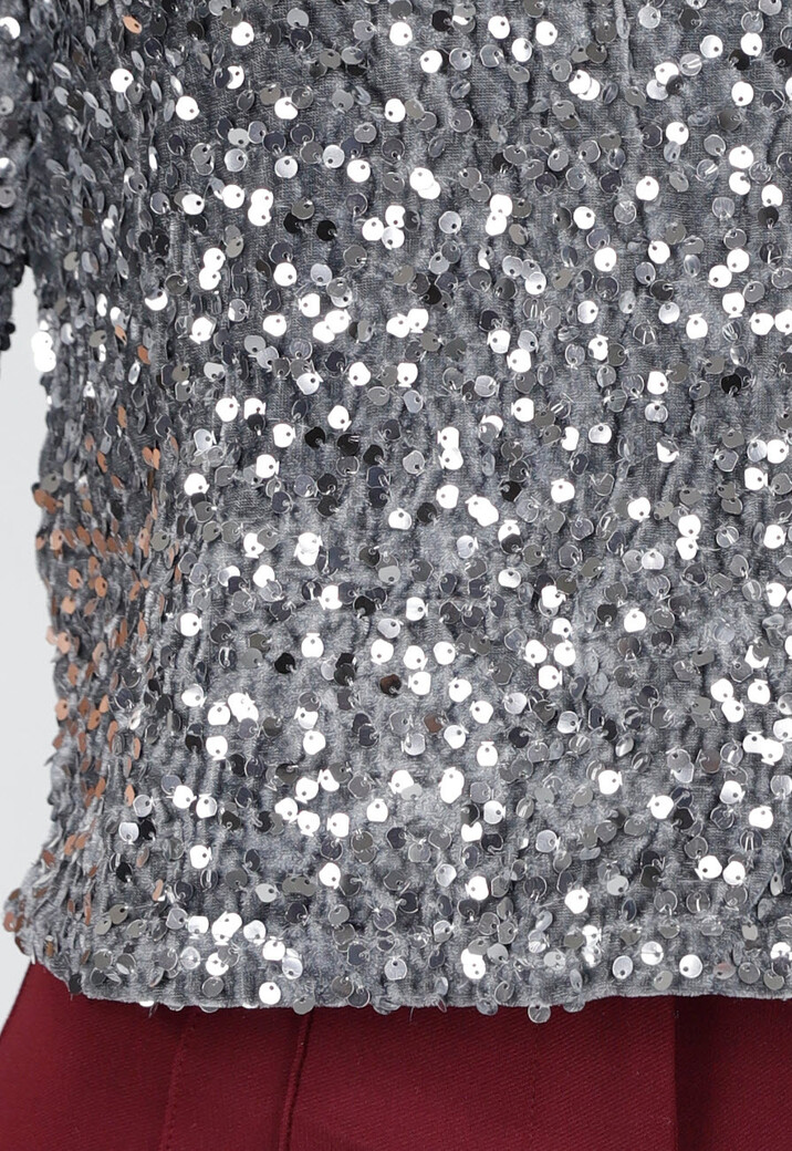 Zilverkleurige Paillettentop met Korte Mouwen