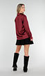 Bordeaux Satijnlook Blouse met Lange Mouwen en Knoopsluiting