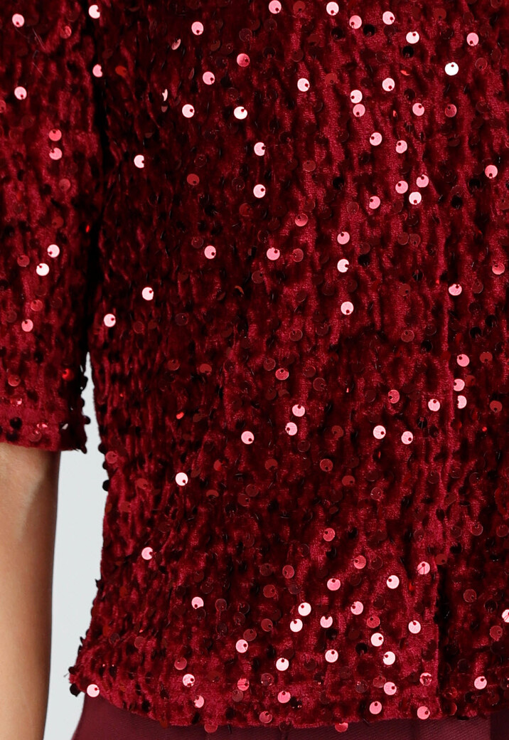 Rode Pailletten Top met Korte Mouwen en Ronde Hals