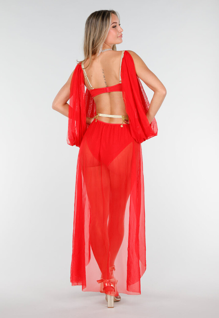Rood Buikdanseres Kostuum met Gouden Accenten en Doorzichtige Rok
