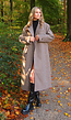 Beige Trenchcoat met Rechte Pasvorm