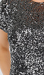 Zilverkleurige Pailletten Jurk met Korte Mouwen