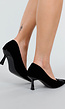 Zwarte Fluwelen Pumps met Lage Hak