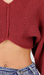 Bordeauxrode Cropped Gebreide Trui met Ballonmouwen