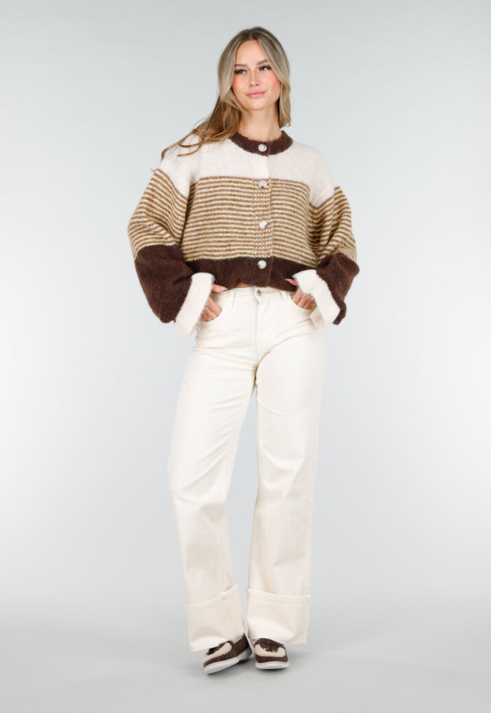 Bruin Gestreept Gebreid Wollen Vest met Knopen