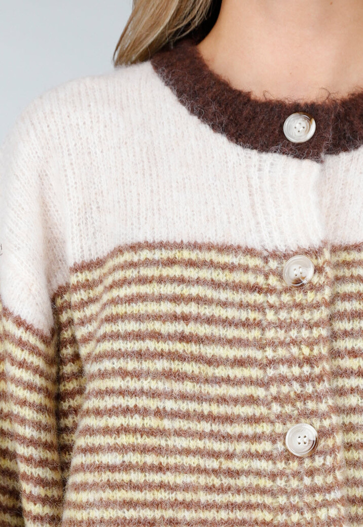 Bruin Gestreept Gebreid Wollen Vest met Knopen
