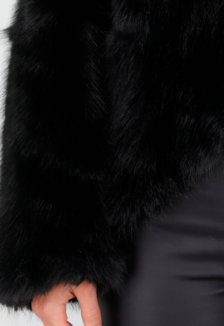 Bruine Bontjas met Capuchon