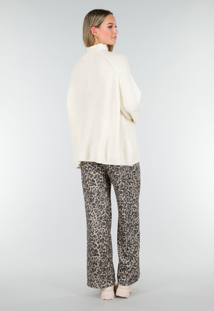 Crèmekleurige Gebreide Trui met Hoge Hals en Lange Mouwen