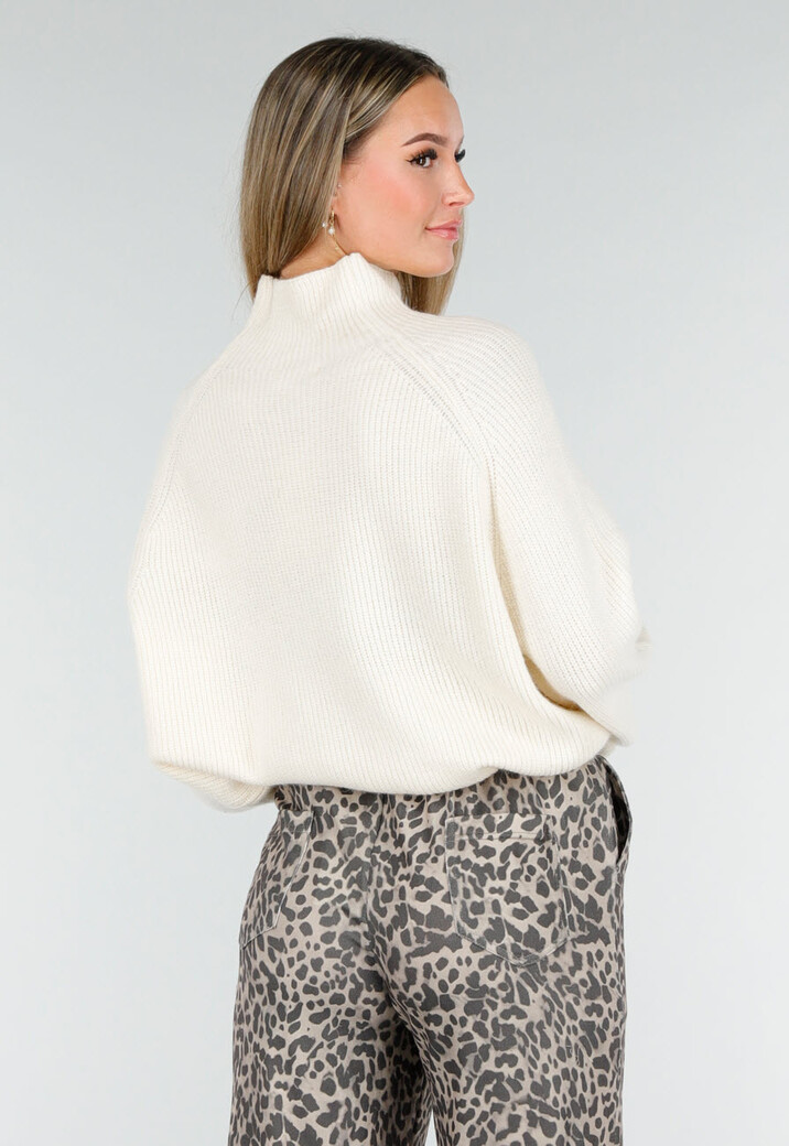 Crèmekleurige Gebreide Trui met Hoge Hals en Lange Mouwen