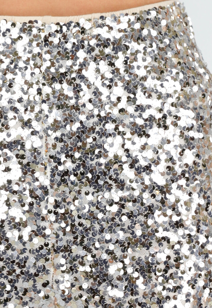 Zilveren Broek met All Over Pailletten en Rechte Pijpen