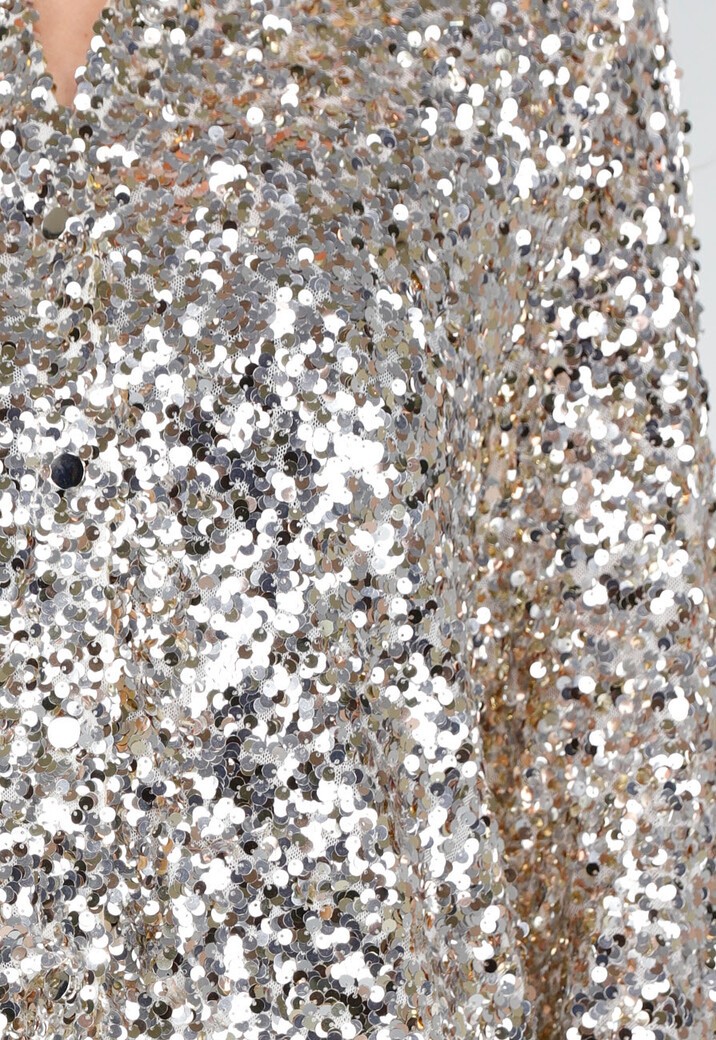 Zilveren Blouse met All Over Pailletten en Klassieke Kraag