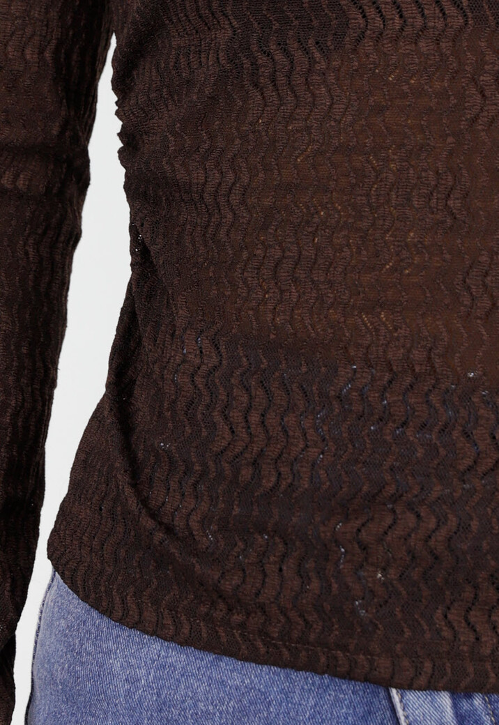 Bruine Semi Transparante Mesh Top met Lange Mouwen