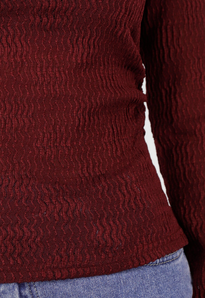 Bordeaux Lange Mouwen Top met Subtiele Textuur
