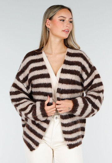 Gestreept Crème en Bruin Vest