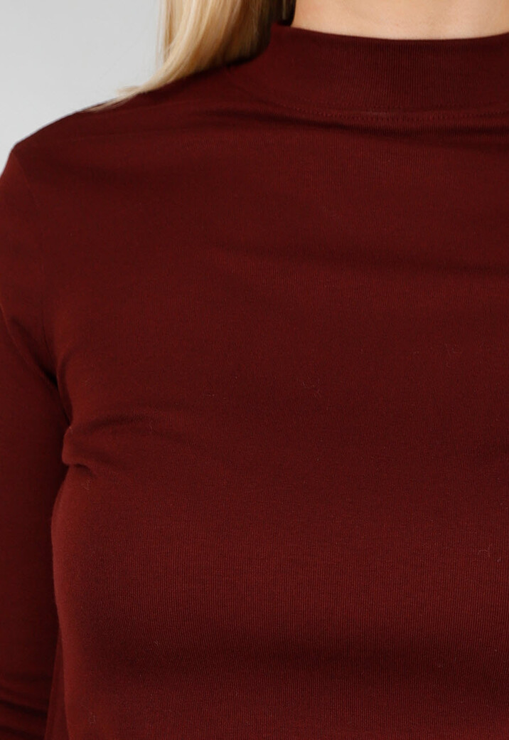 Bordeaux Top met Lange Mouwen en Col