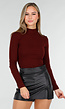Bordeaux Top met Col en Lange Mouw