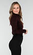 Bordeaux Stretch Top met Lange Mouwen en Col
