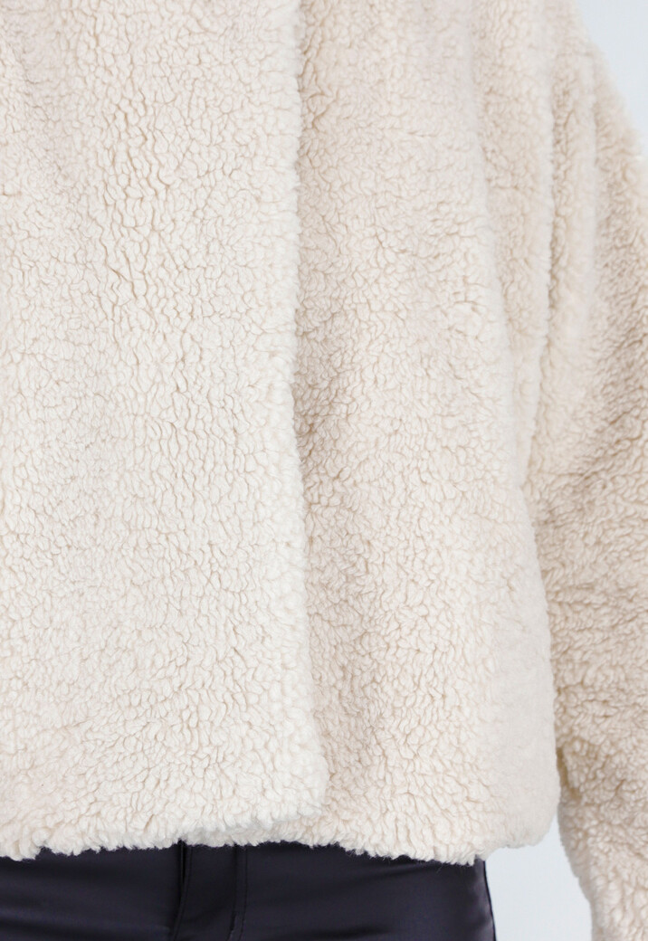 Beige Teddy Jas met Zachte Fleece Textuur en Opstaande Kraag