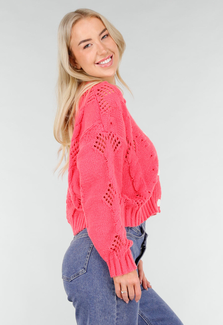 Roze Gebreid Vest met V-Hals en Knoopsluiting