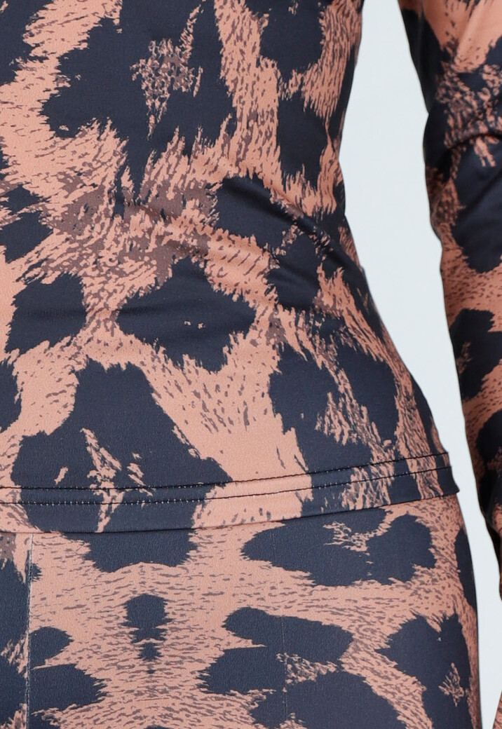 Leopard Print Two Piece Set