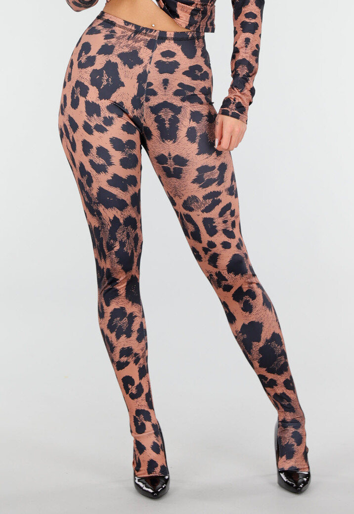 Leopard Print Two Piece Set