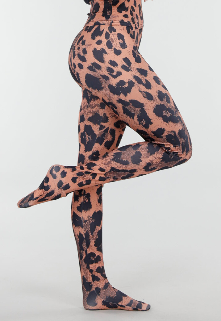 Leopard Print Two Piece Set