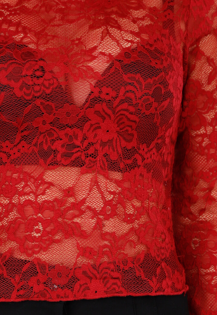 Rode Kanten Mesh Top met Lange Mouwen en Col