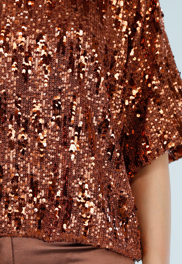 Bronzen Pailletten Top met Korte Mouwen